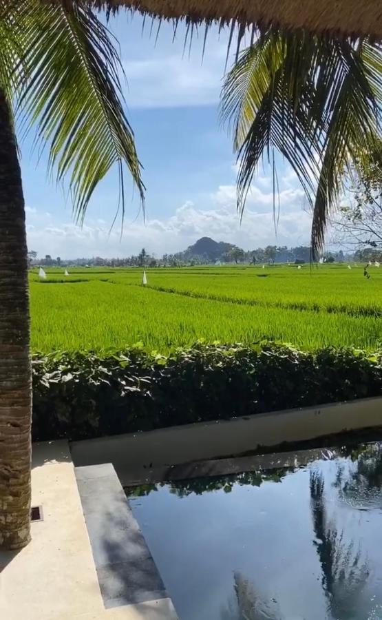 Crescent Moon Villa Ubud  Exterior photo